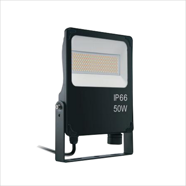 Pojecteur-led-grue-CCT-50W-IP66-pro